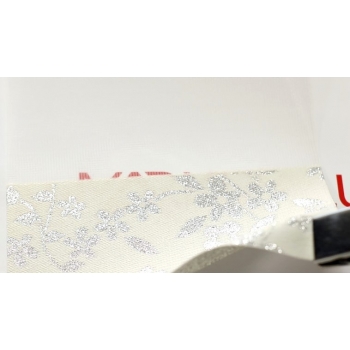 Жалюзі день ніч Роксолана Срібло