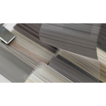 Жалюзі день ніч Вуді Рейн